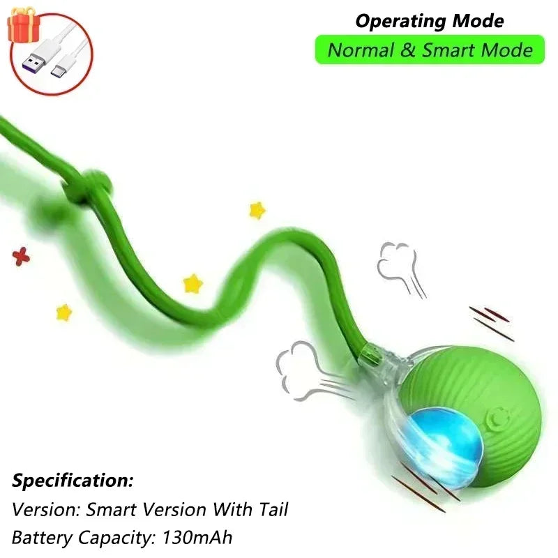 Cat Interactive Ball