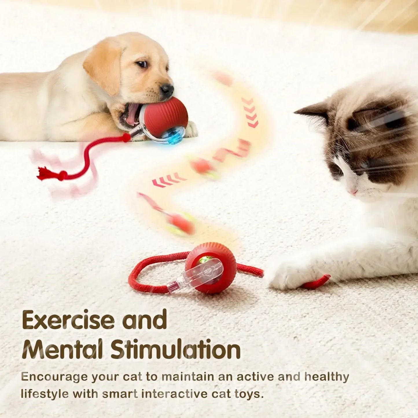 Cat Interactive Ball