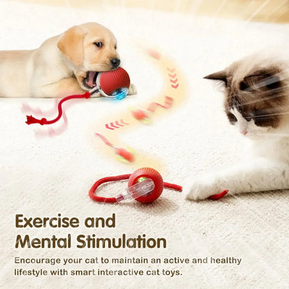 Cat Interactive Ball