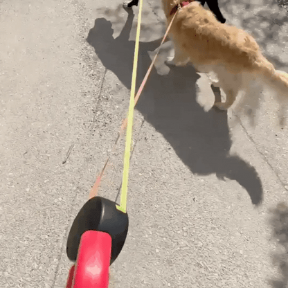 Dual Retractable Dog Leash